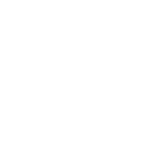 Pegasus